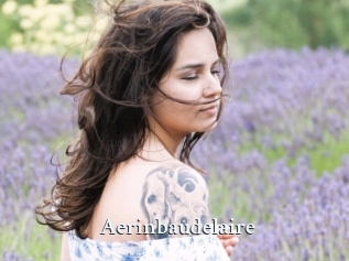 Aerinbaudelaire