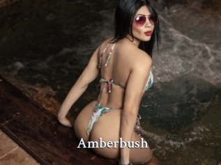 Amberbush