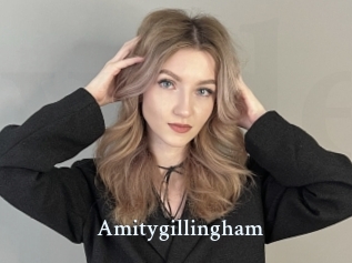 Amitygillingham