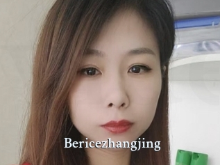 Bericezhangjing