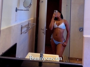 Bunnyoncam