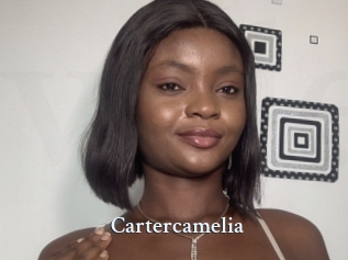 Cartercamelia