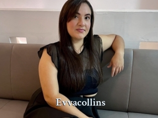 Evvacollins