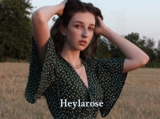 Heylarose
