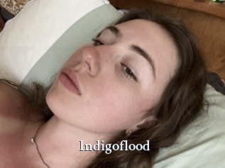 Indigoflood