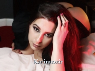 Karinanoir