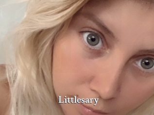 Littlesary