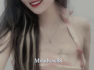 Meadow88