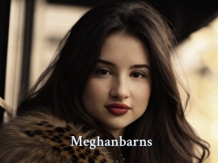 Meghanbarns