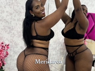 Meridaroa