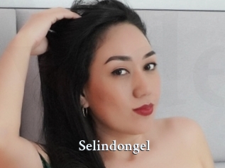 Selindongel