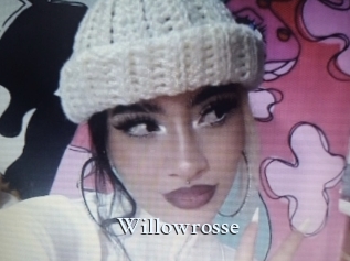Willowrosse
