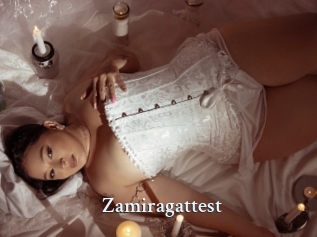 Zamiragattest